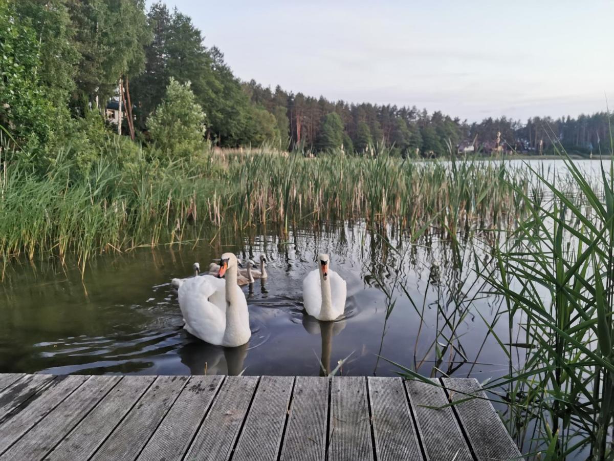 Sosnowy Azyl Villa Wąglikowice Eksteriør bilde