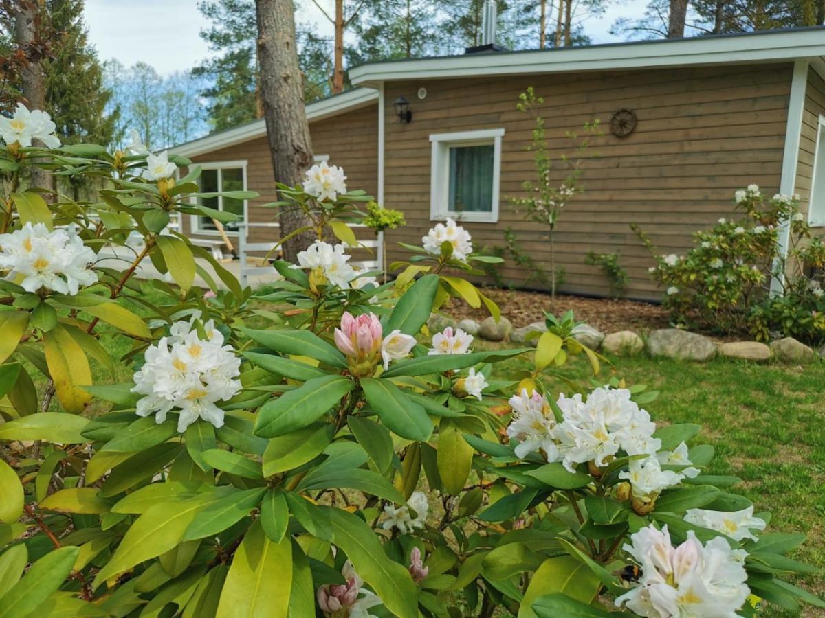 Sosnowy Azyl Villa Wąglikowice Eksteriør bilde
