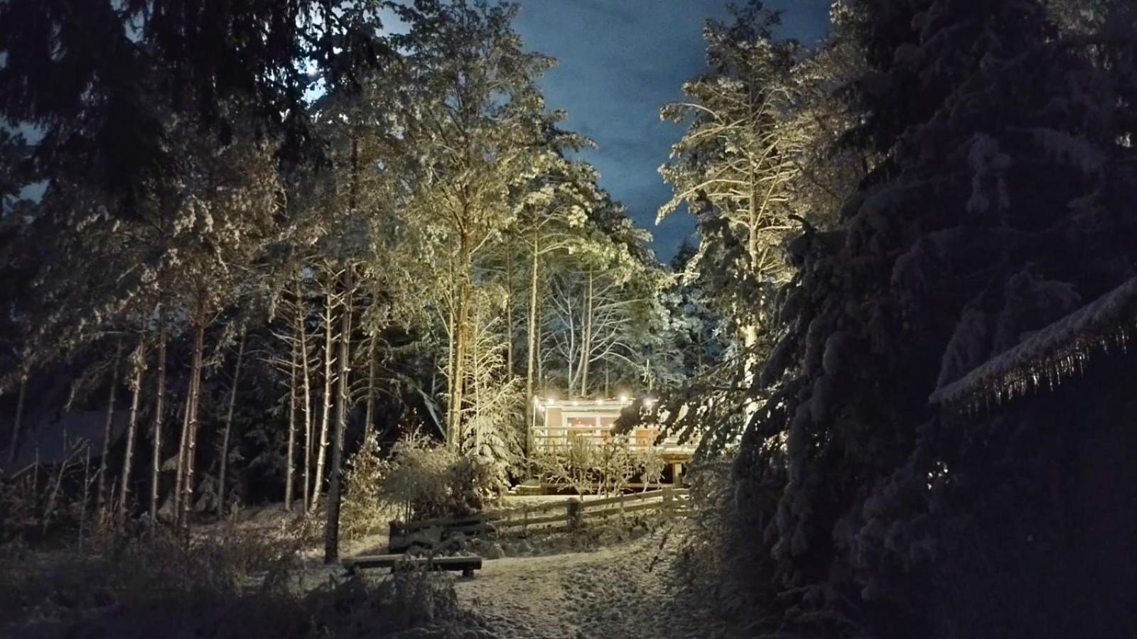 Sosnowy Azyl Villa Wąglikowice Eksteriør bilde