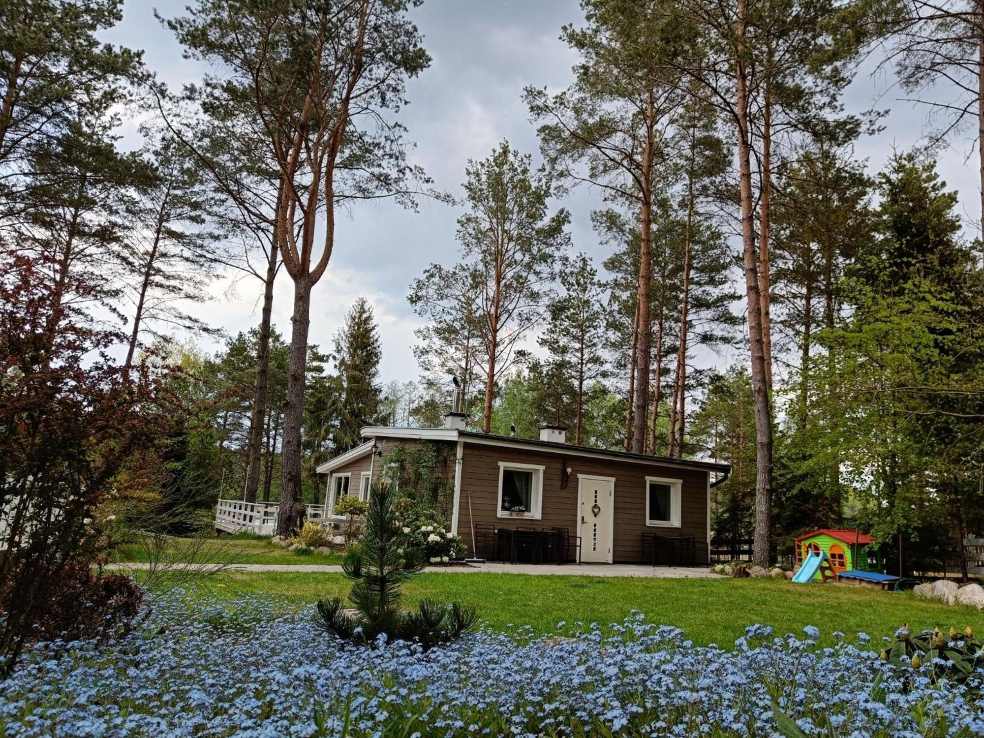 Sosnowy Azyl Villa Wąglikowice Eksteriør bilde
