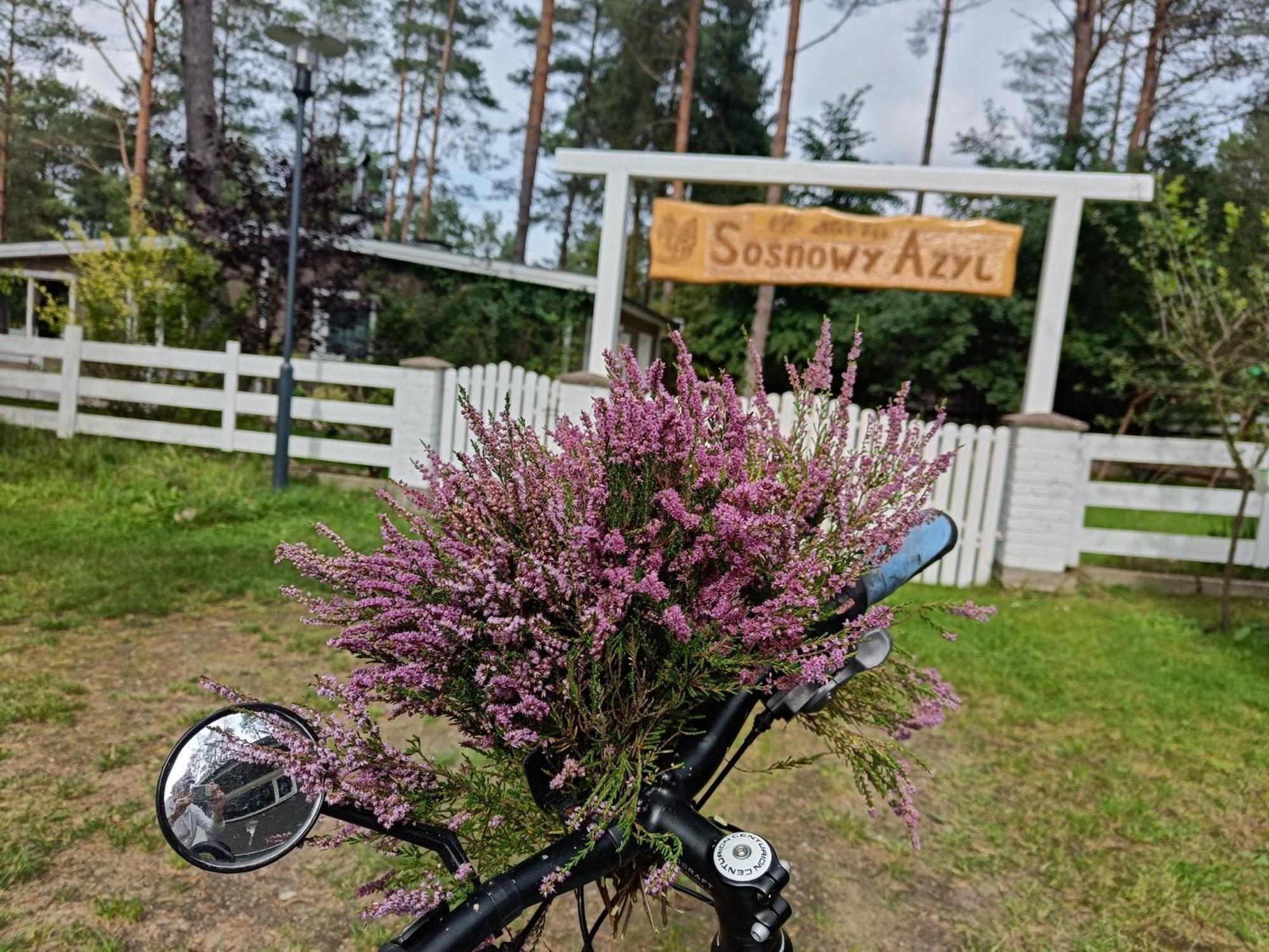 Sosnowy Azyl Villa Wąglikowice Eksteriør bilde